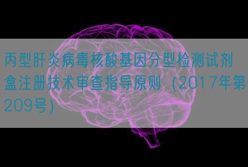 丙型肝炎病毒核酸基因分型檢測(cè)試劑盒注冊(cè)技術(shù)審查指導(dǎo)原則(2017年第209號(hào))(圖1) 丙型肝炎病毒核酸基因分型檢測(cè)試劑盒注冊(cè)技術(shù)審查指導(dǎo)原則(2017年第209號(hào))(圖1)
