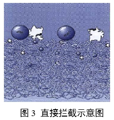 呼吸系統(tǒng)過(guò)濾器注冊(cè)審查指導(dǎo)原則(2023年第22號(hào))(圖2) 呼吸系統(tǒng)過(guò)濾器注冊(cè)審查指導(dǎo)原則(2023年第22號(hào))(圖2)
