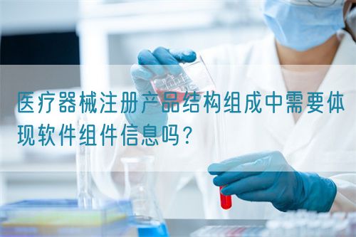 醫療器械注冊產品結構組成中需要體現軟件組件信息嗎？