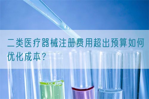 二類醫療器械注冊費用超出預算如何優化成本？(圖1)