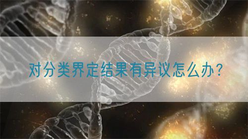 對分類界定結果有異議怎么辦？(圖1)