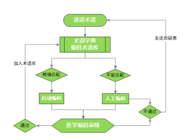 臨床試驗醫學編碼那些事！(圖2)
