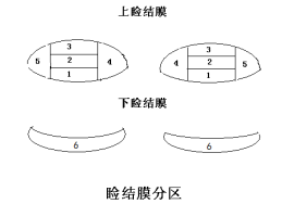 接觸鏡護理產品注冊技術審查指導原則（食藥監(jiān)辦械函[2011]116號）(圖2)