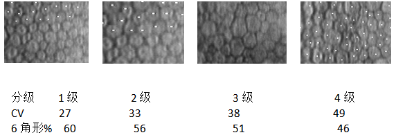 接觸鏡護理產品注冊技術審查指導原則（食藥監(jiān)辦械函[2011]116號）(圖3)